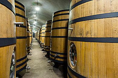 《消逝的光芒2》发布热修复补丁 武器耐久度饰品更新